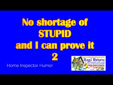 No shortage of stupid 2!