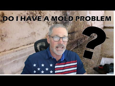Do I have a mold problem?